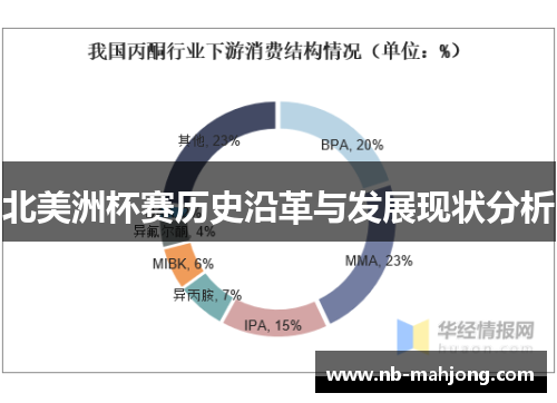 北美洲杯赛历史沿革与发展现状分析