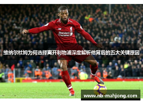 维纳尔杜姆为何选择离开利物浦深度解析他背后的五大关键原因