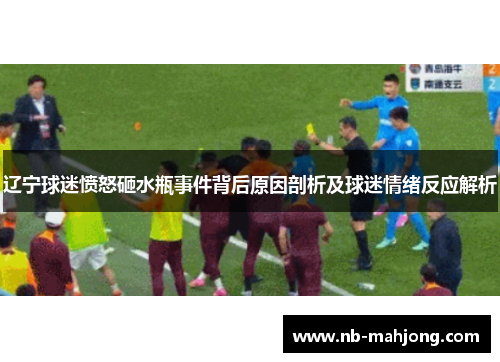 辽宁球迷愤怒砸水瓶事件背后原因剖析及球迷情绪反应解析 辽宁球迷愤怒砸水瓶事件背后原因剖析及球迷情绪反应解析